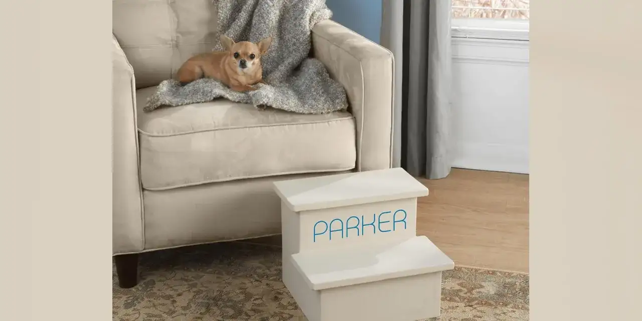 Jak zrobić schody dla psa - łatwe kroki, aby zapewnić bezpieczeństwo