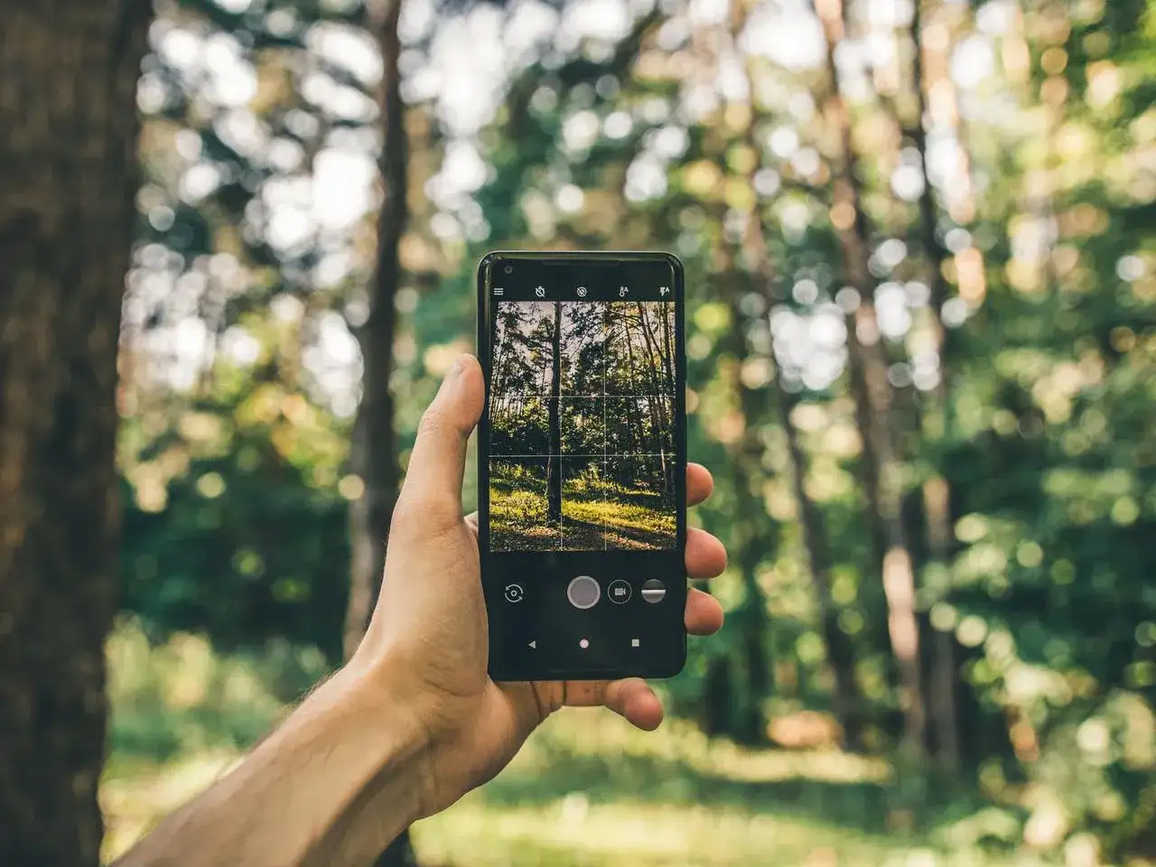 Telefon w lesie: Jak się nie zgubić i wrócić bezpiecznie?