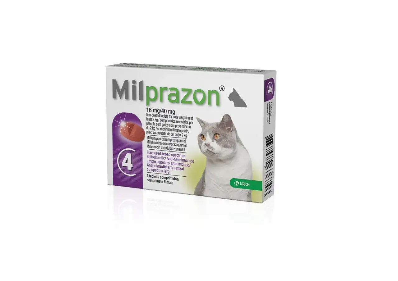 Gdzie kupić milprazon dla kota: najlepsze apteki i ceny na rynku