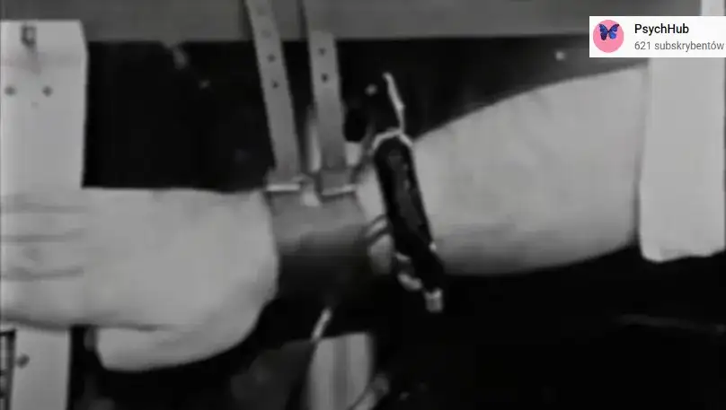 Eksperyment Milgrama: Dlaczego posłuszni ludzie krzywdzą innych?