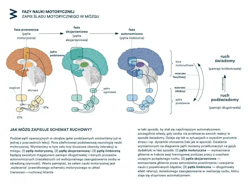 Czy rehabilitacja boli? Jak odróżnić "dobry" ból od "złego"?