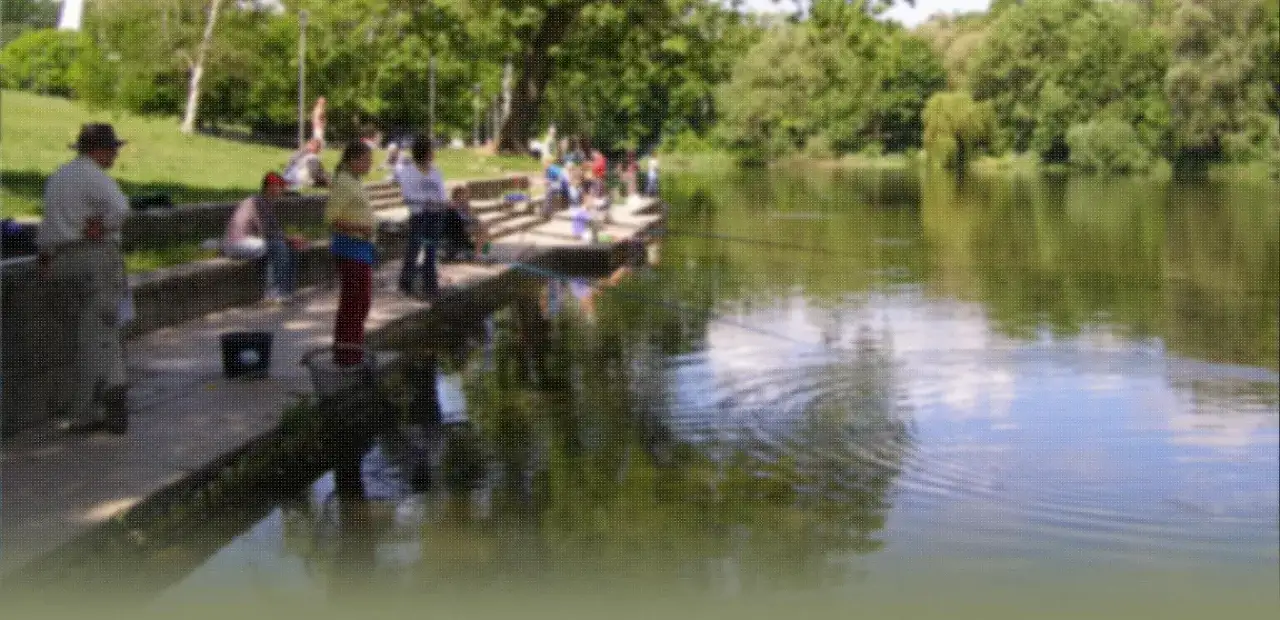 Najlepsze jeziora PZW w zachodniopomorskim - idealne miejsca na wędkowanie