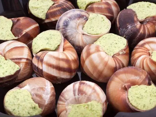 Secret de chef : réussir un beurre d'escargot gastronomique parfait