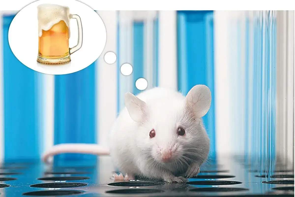 Makra w myszce: Pewny ban w grach? Dlaczego i jak wykrywają?