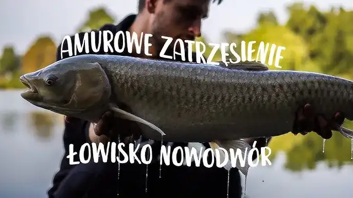 Łowisko Amur - idealne miejsce na wędkarskie przygody w Łódzkiem