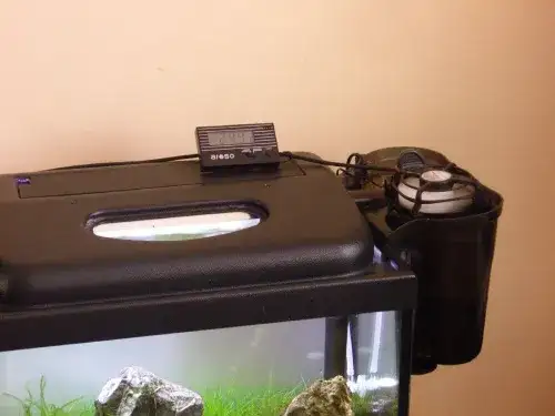 Jak skutecznie schłodzić wodę w akwarium - 5 sprawdzonych sposobów