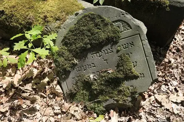 Co oznaczają kamienie na pomniku? Odkryj ich głębokie znaczenie