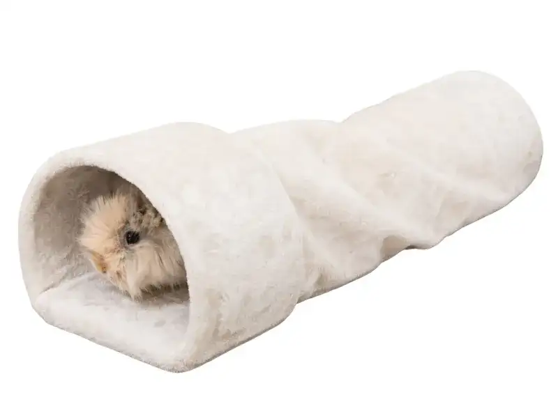 Jak zrobić legowisko dla królika, by zapewnić mu komfort i bezpieczeństwo