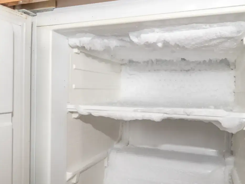 No Frost: Rozmrażanie to mit? Prawdziwa konserwacja lodówki