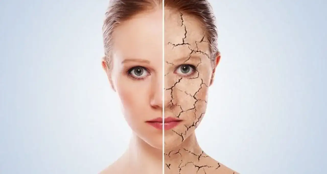 Sucha skóra i kaszel? Wybierz idealny nawilżacz powietrza z ekspertem