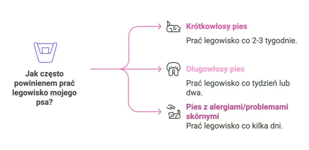 Jak prać legowisko psa? Praktyczny poradnik dla czystości