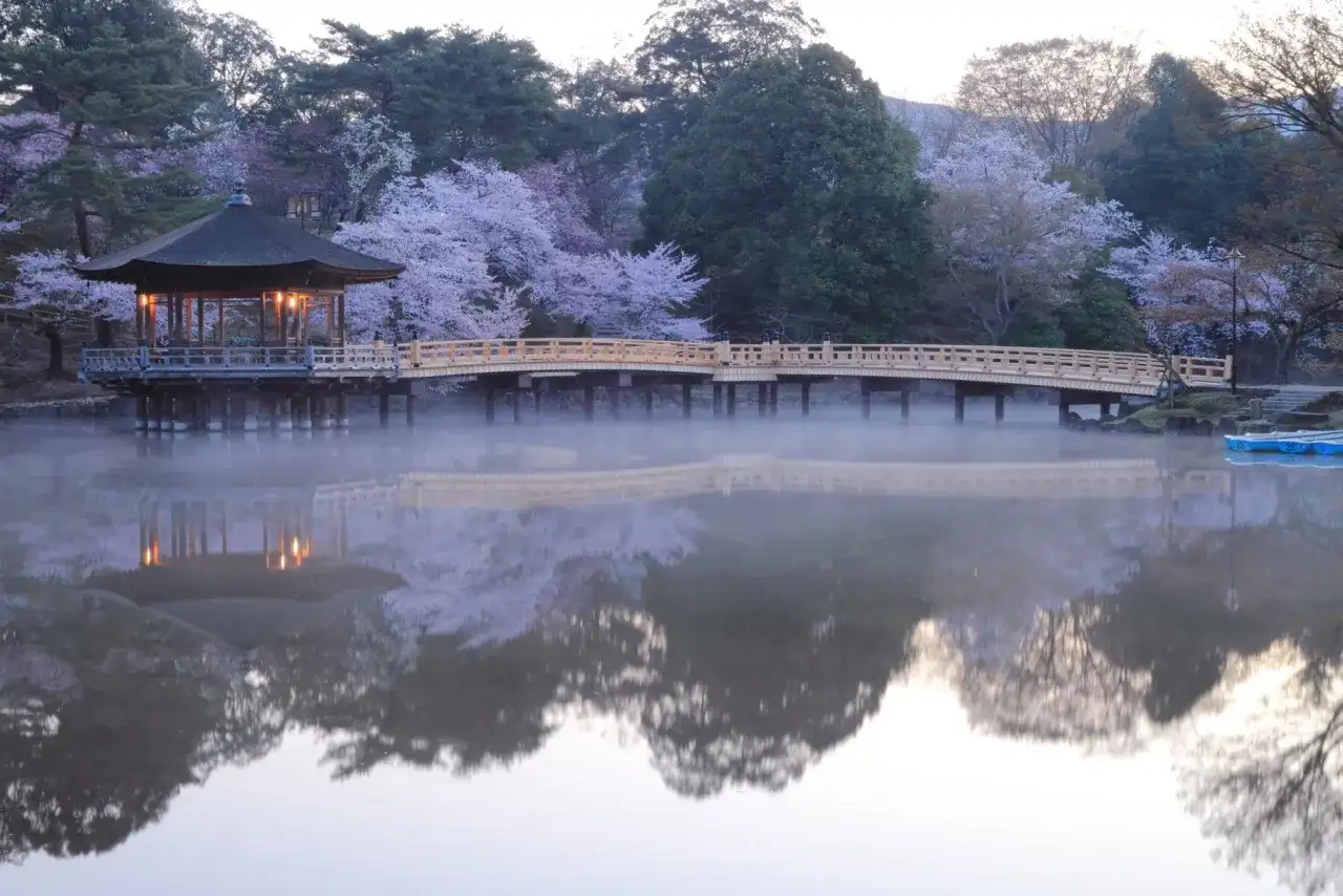 Die richtige Größe für einen Koi-Teich: So vermeiden Sie Fehler