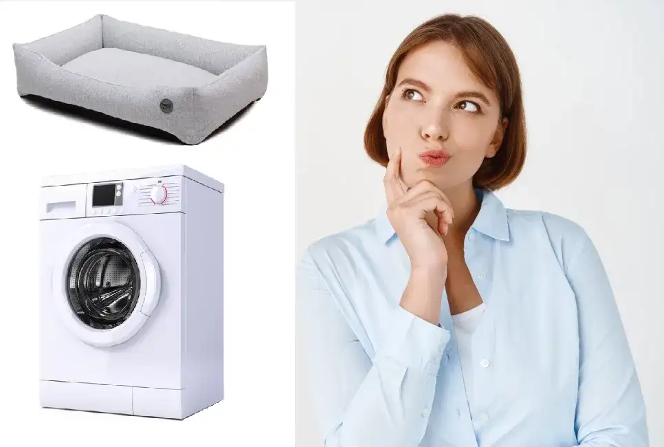 Jak prać legowisko psa, aby uniknąć nieprzyjemnych zapachów i zniszczeń