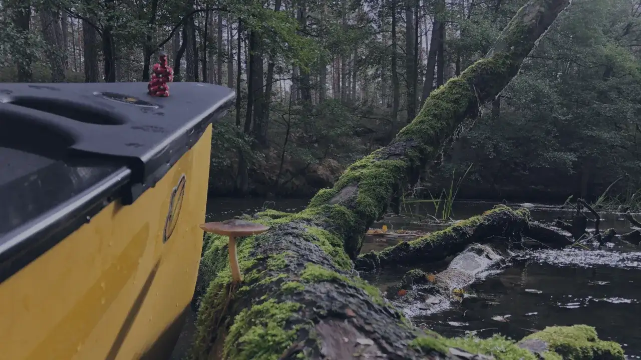 Drawa kajakiem: Jak zaplanować spływ w DPN? Kompletny poradnik