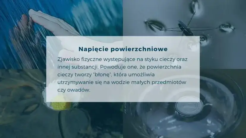Dlaczego woda jest fundamentem życia? Unikalne właściwości H₂O