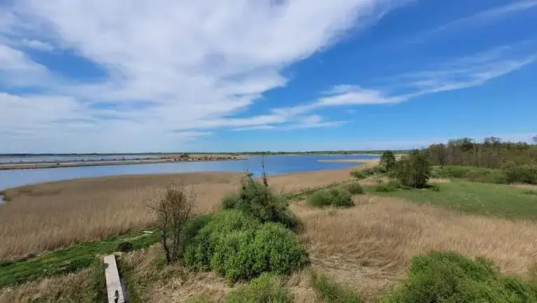 Przemkowski Park Krajobrazowy: Odkryj najlepsze trasy rowerowe