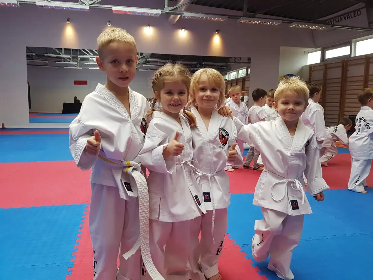 Judo czy taekwondo dla dziecka? Wybierz najlepszą sztukę walki dla malucha