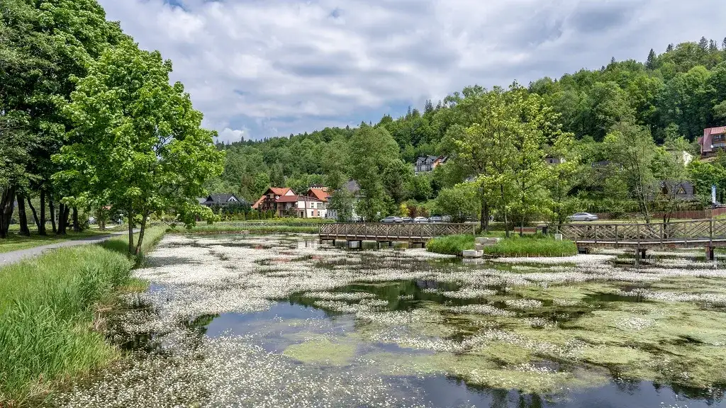 Atrakcje w Wiśle i okolicy, które musisz zobaczyć podczas wizyty