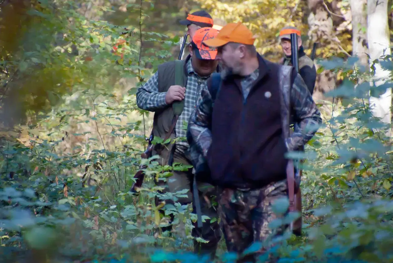 Myśliwi w pomarańczowych czapkach idą przez las. Czy myśliwy może polować w momencie wykluczenia?