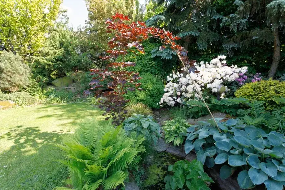 Co sadzić w ogrodzie, aby cieszyć się pięknem przez cały rok?