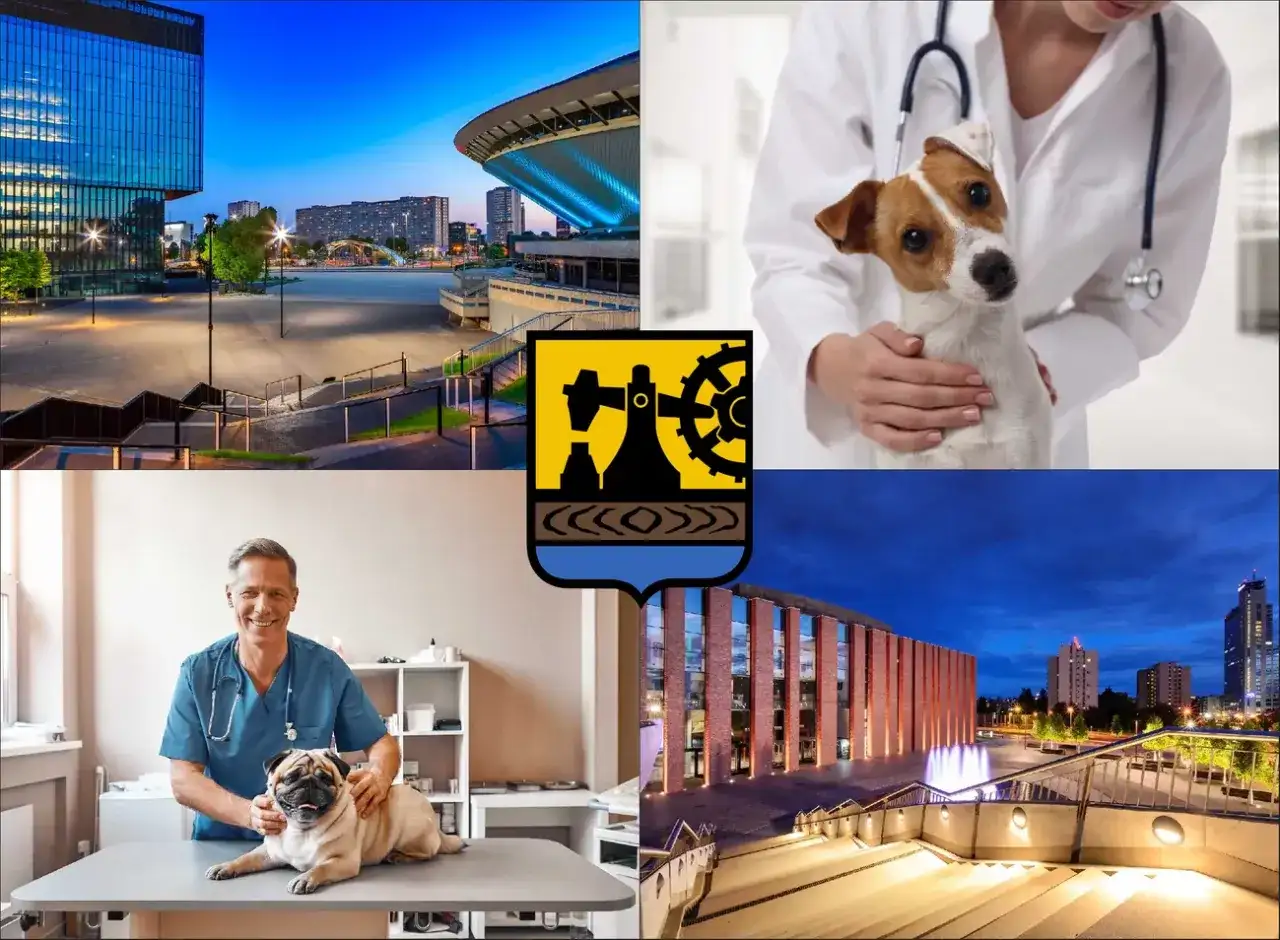 Wesoły weterynarz z mopsikiem i pieskiem. Dowiedz się, ile kosztuje wizyta z kotem u weterynarza.