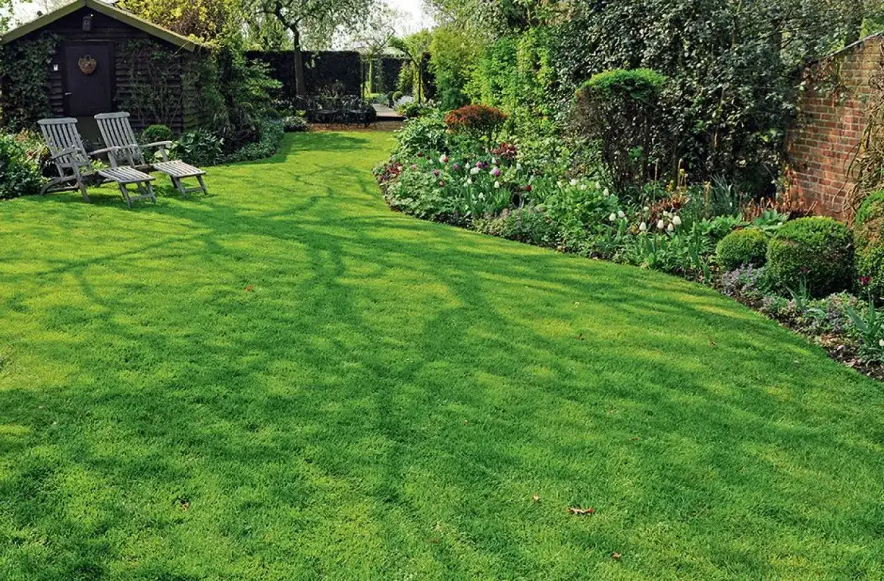 Jakie rośliny do ścieżki do domu? Stwórz zielony dywan!
