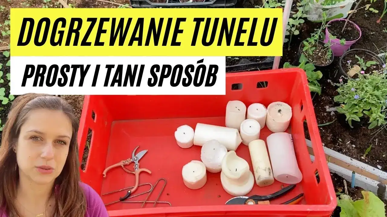 Jak ogrzać tunel foliowy w razie przymrozków i uratować rośliny