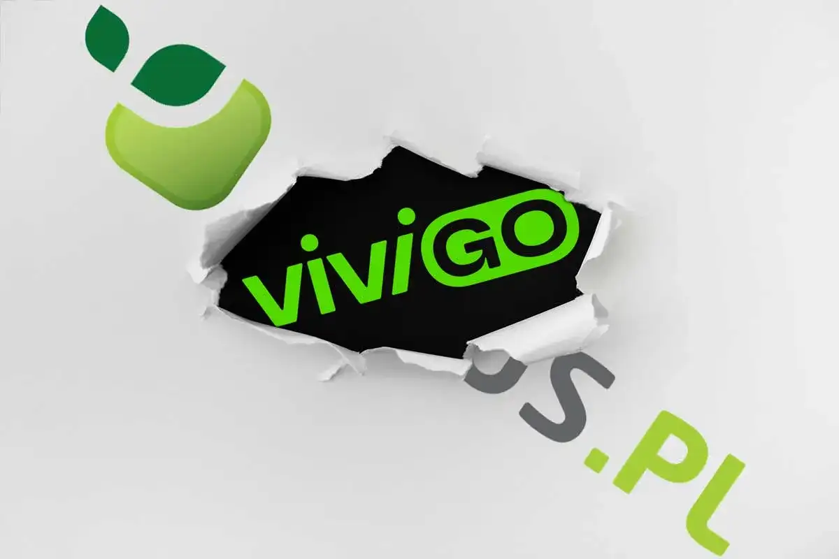 Vivus raty: Jak rozłożyć chwilówkę? Warunki i proces