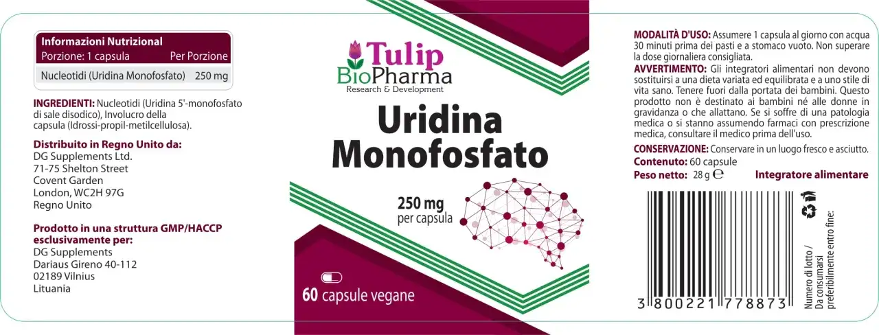 Urydyna monofosforan: 250 mg w kapsułce. Suplement diety Tulip BioPharma.
