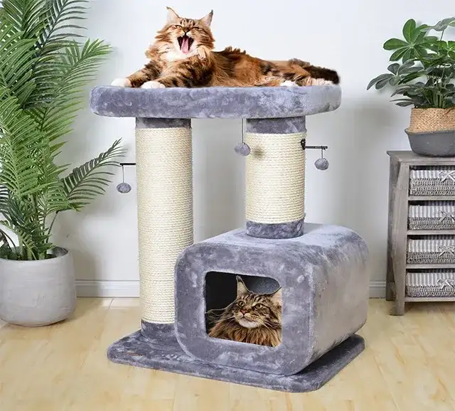 Jaki drapak dla dużych kotów wybrać - najważniejsze cechy i parametry