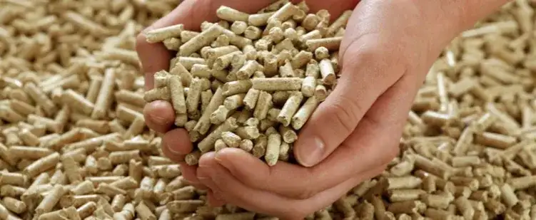 Czy pellet to biomasa? Zaskakujące fakty o ekologicznych źródłach energii