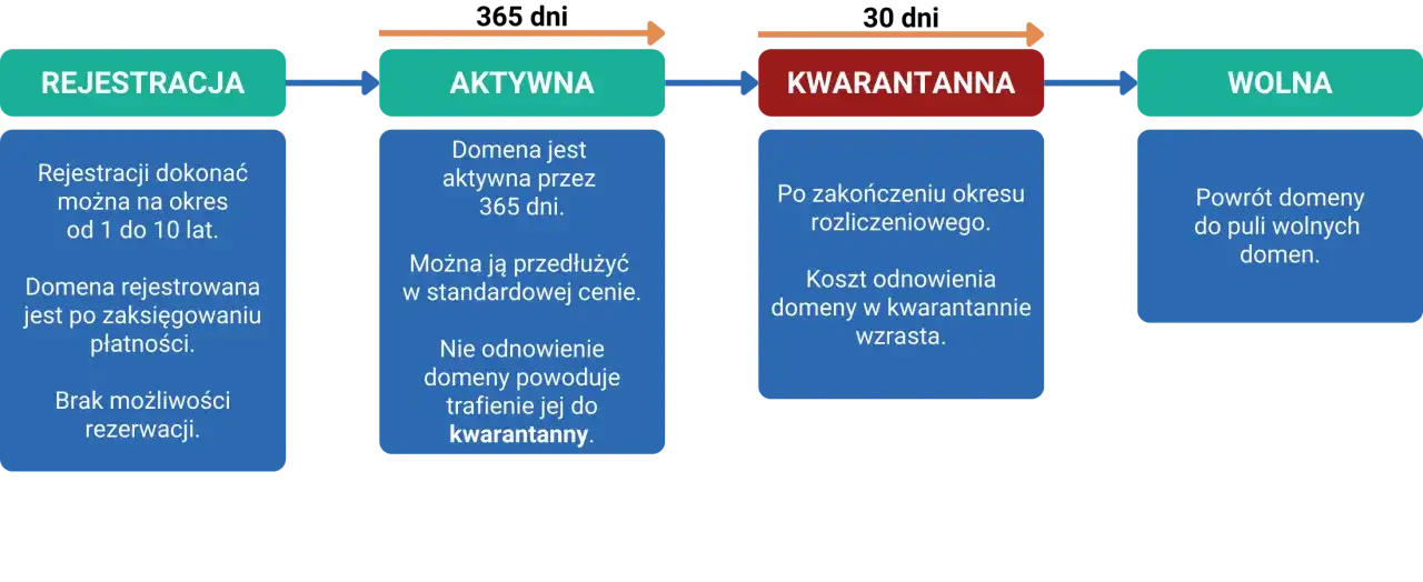 Diagram cyklu życia domeny: rejestracja (1-10 lat), aktywna (365 dni), kwarantanna (po wygaśnięciu, droższa), wolna. Do kiedy domena?