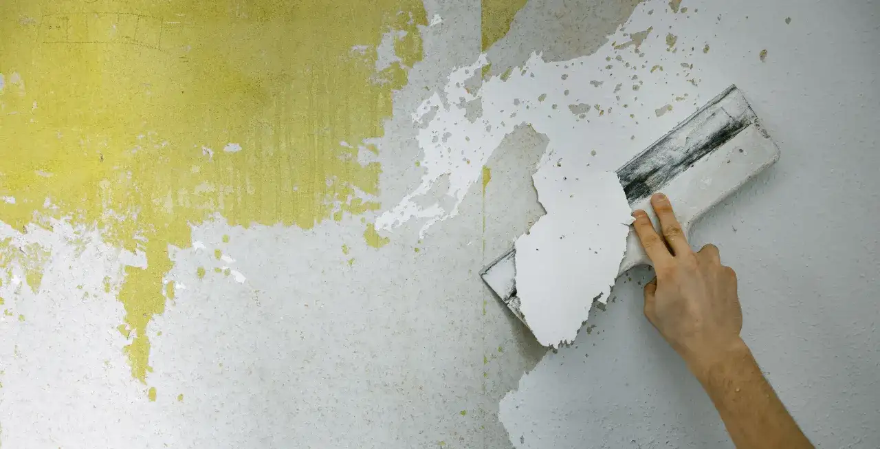 Usuwanie farby lateksowej: Jak to zrobić bez błędów?