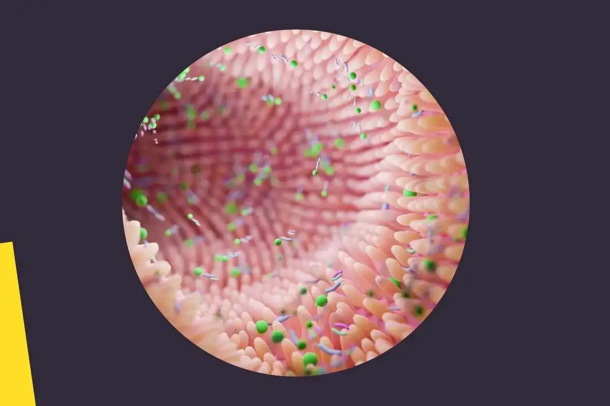 Jak zażywać probiotyki, aby uniknąć problemów zdrowotnych?