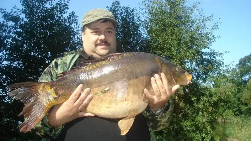 Wielkopolska: Wędkowanie z noclegiem. Gdzie na ryby i relaks?