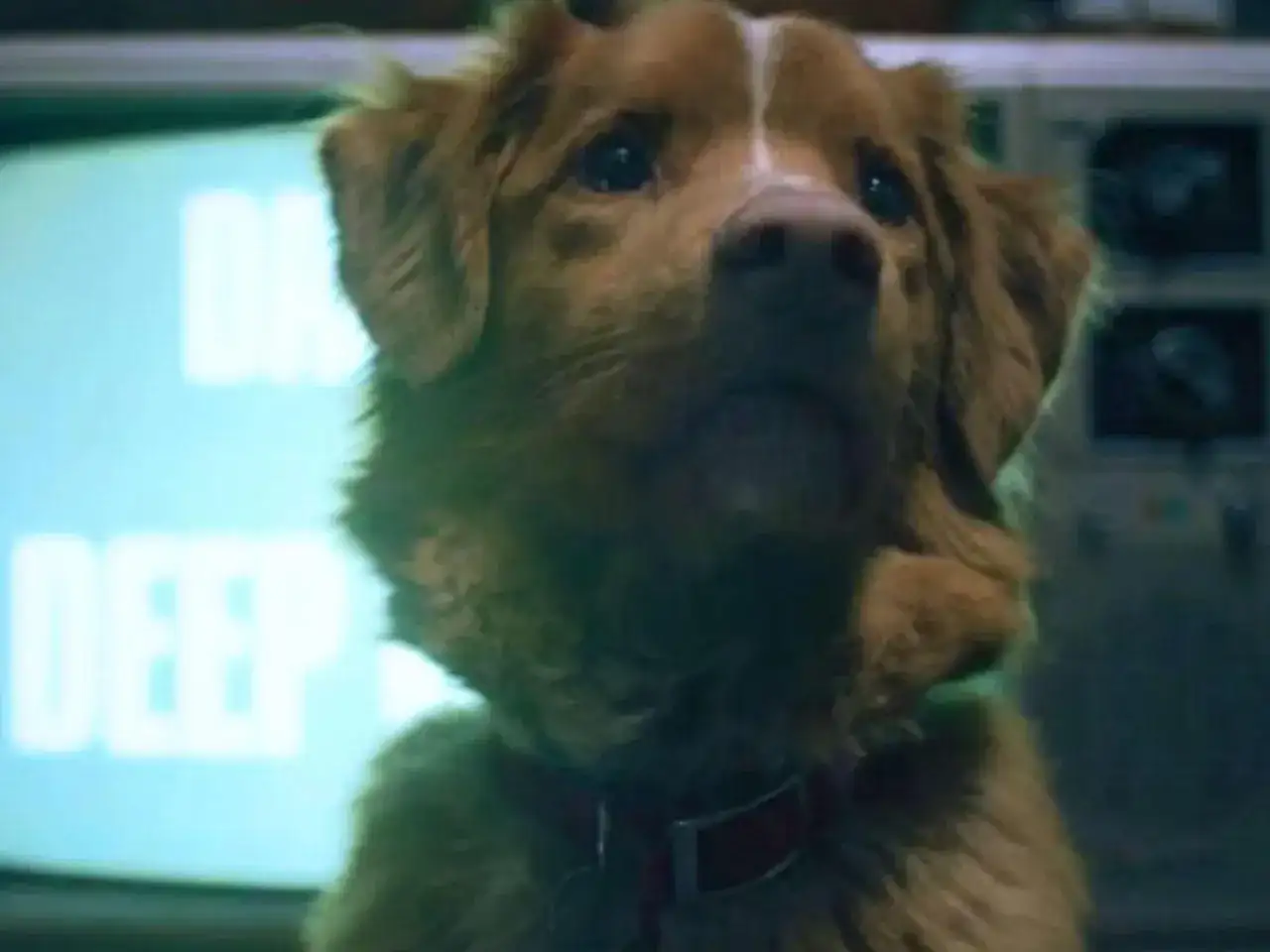 Dobry piesek horror: Tajemnica mema z Andy's Apple Farm