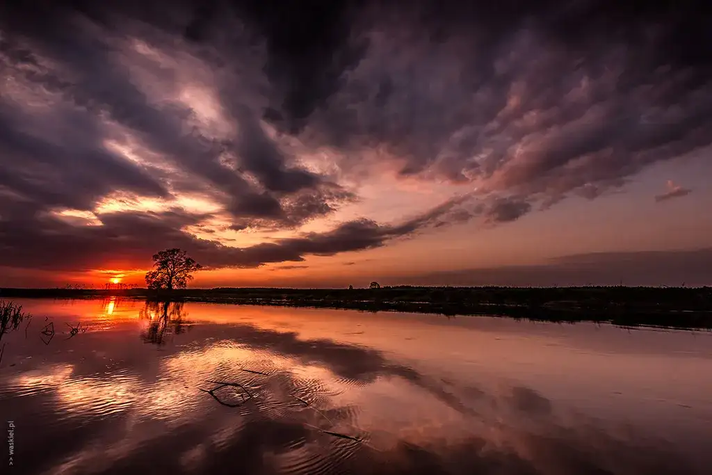 Jak zrobić ładne zdjęcie? Praktyczne porady, które musisz znać!