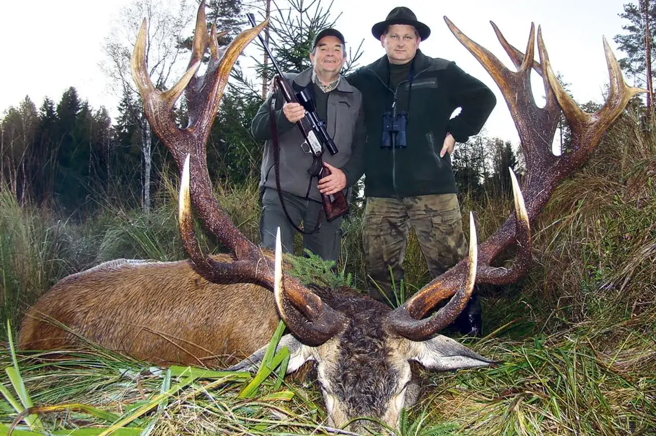 Dwóch myśliwych z okazałym porożem jelenia. Czy myśliwy ma obowiązek przedstawić trofeum do oceny prawidłowości odstrzału?