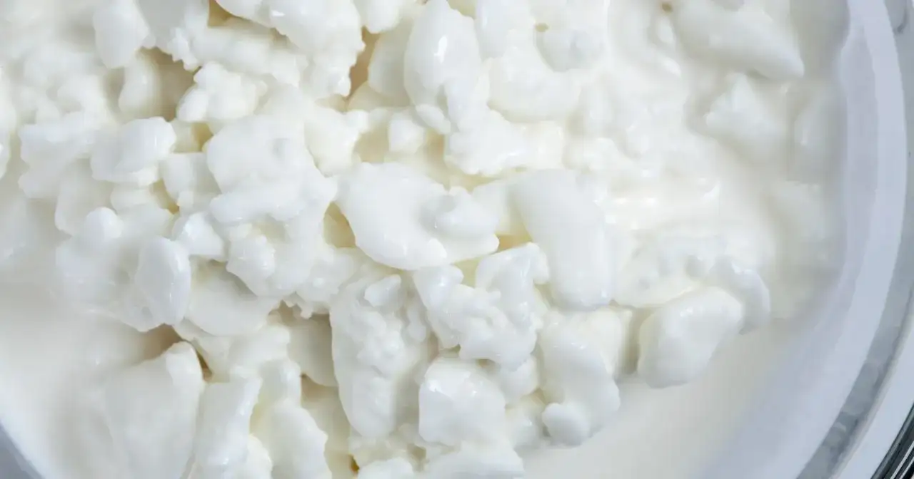 Czy serek wiejski tuczy? Odkryj prawdę o kaloriach i diecie