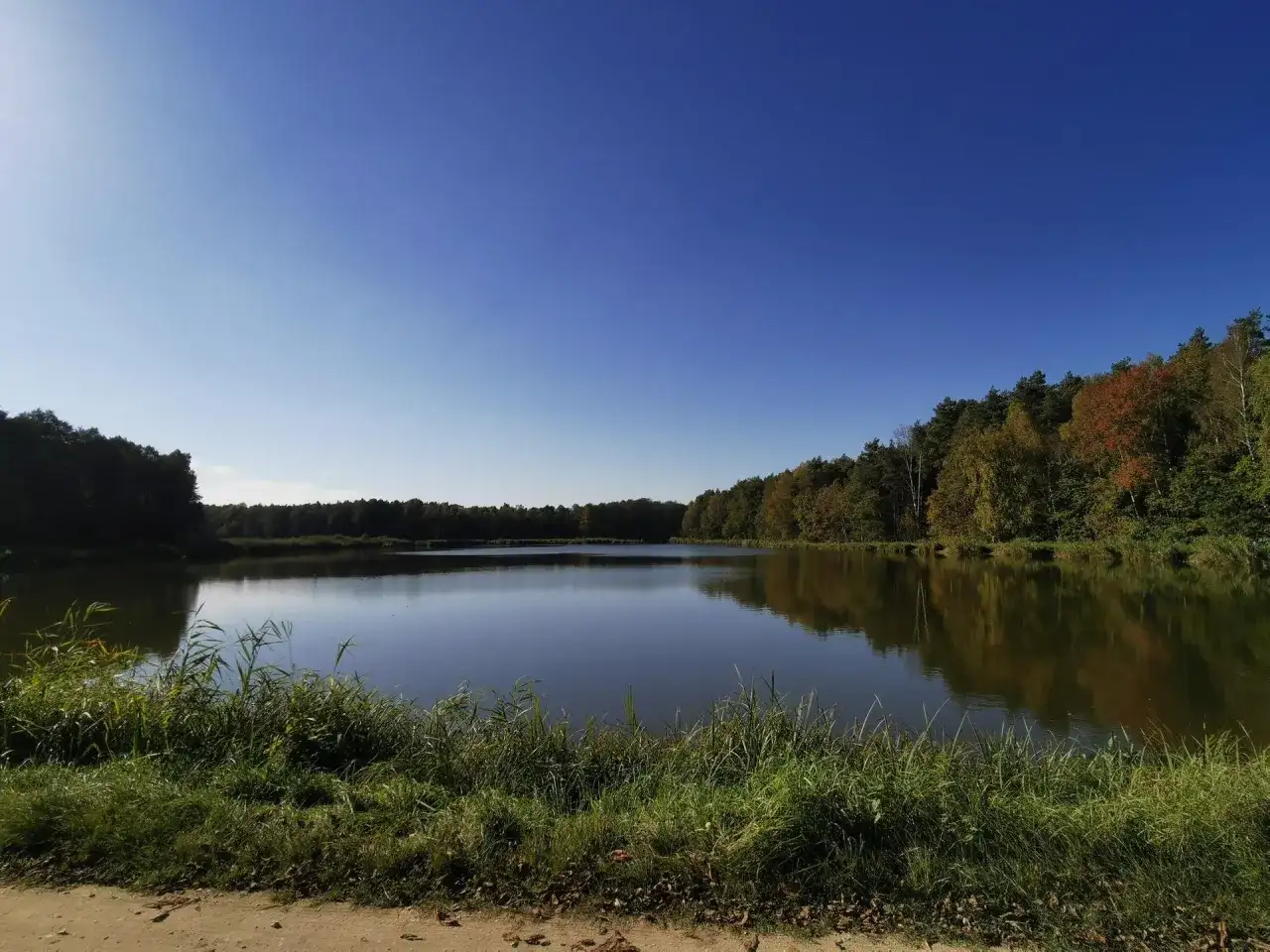 Atrakcje w Tarczynie, które zaskoczą każdego turystę