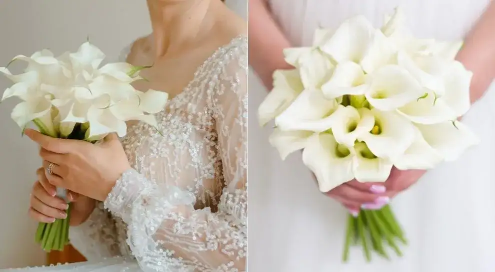 Kalie na ślub znaczenie: odkryj ich symbolikę i wyjątkowość w bukiecie