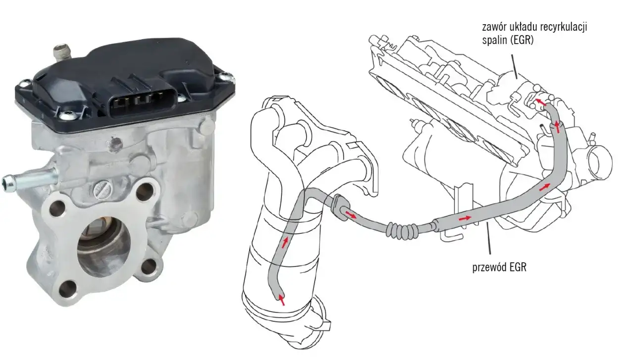 Objawy uszkodzenia zaworu EGR w dieslu, które mogą zrujnować silnik