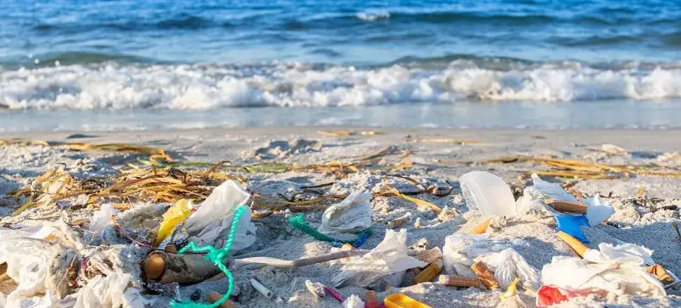 Dlaczego Bałtyk jest zanieczyszczony? Odkryj szokujące przyczyny