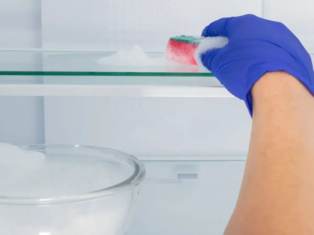 Jak szybko rozmrozić lodówkę? Uniknij błędów i oszczędź prąd!