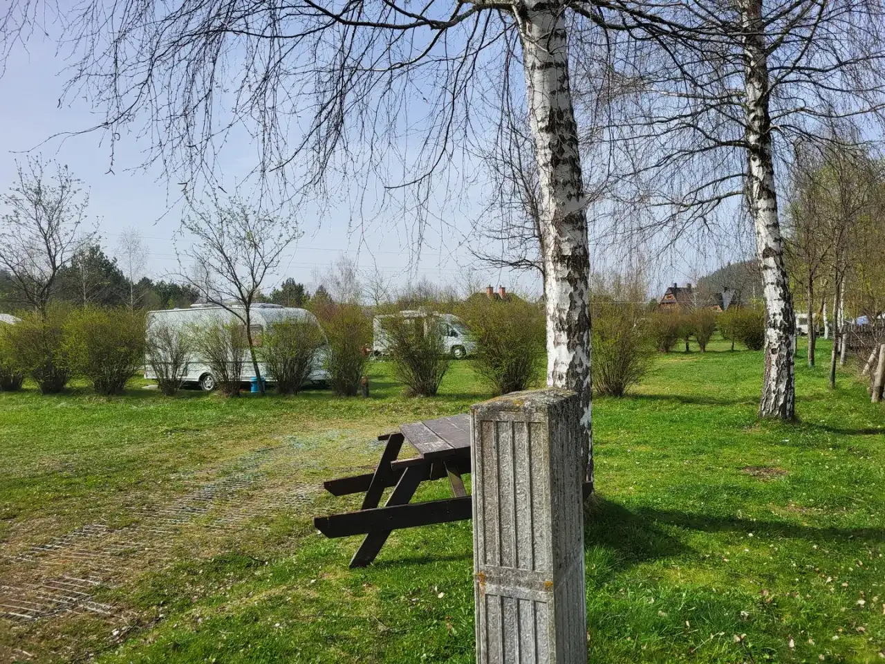 Piękna polana sosny zaprasza na camping. Widać przyczepy kempingowe, stoły i ławki, a także drzewa.