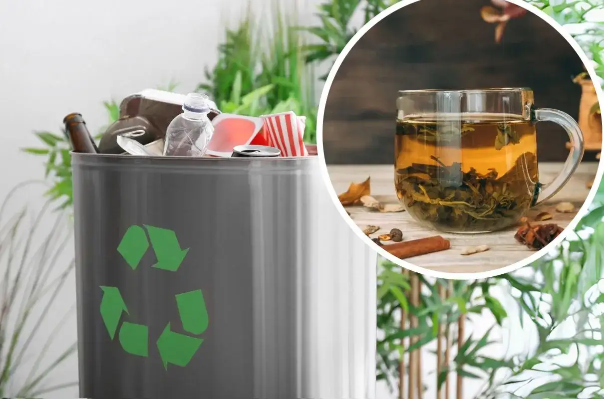 Kosz na śmieci z symbolem recyklingu i filiżanka herbaty. Zastanawiasz się, gdzie wyrzucać fusy po kawie?