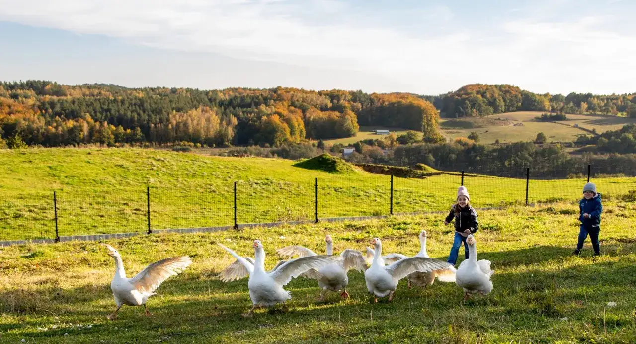 Zagroda edukacyjna: Odkryj sekrety wiejskiej nauki i zabawy!