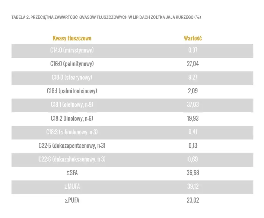 Surowe jajko dla szczeniaka: Wartości czy ryzyko? Decyduj świadomie