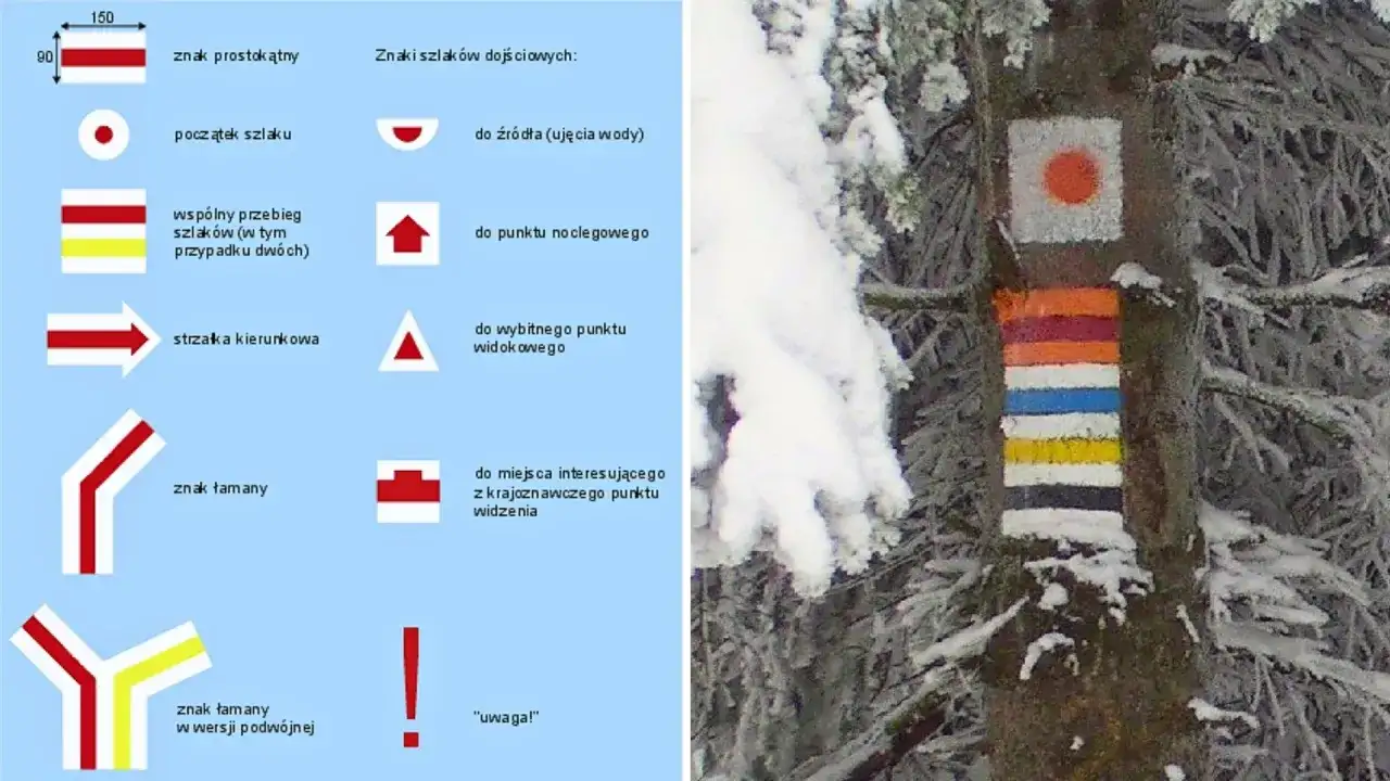 Kolorowe znaki szlaków turystycznych namalowane na drzewie w zimowej scenerii.