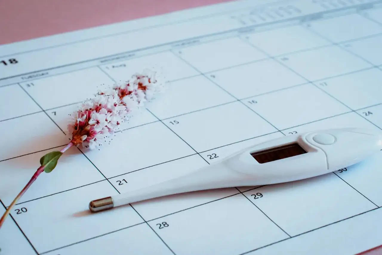 Termometr i kwiat na kalendarzu, symbolizujące dni płodne i cykl menstruacyjny.
